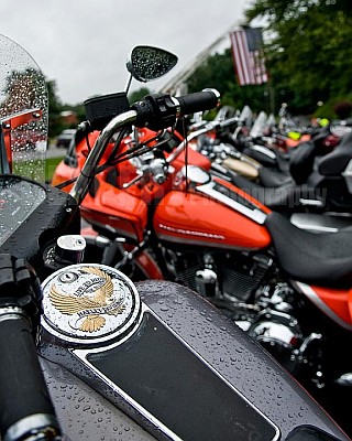 A row of motorcycles